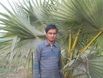 emon