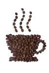 Ossama Selim