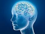 bluebrain
