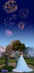 weddingfireworkssolihull