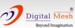 Digital Mesh