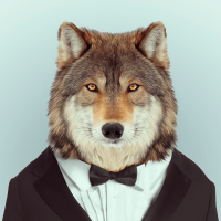 blackwolf