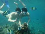 ebhe tidung