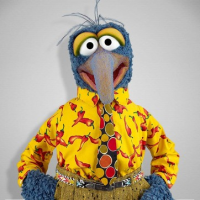 codegonzo