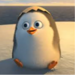 hai doan