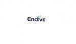 Endive Software