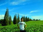 Tomy Satria Alasi