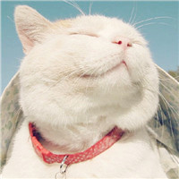 kittyfamous