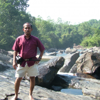 bhanuka