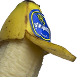 bmecler