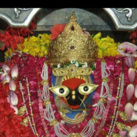 virendra singh