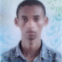 Hemed
