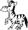 zebra
