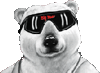PolarBear
