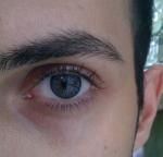mojtaba