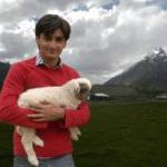 ibrar